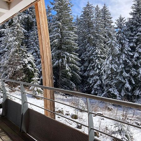 Studio Chamrousse 1700 Pour 4 Personnes - Au Calme - Avec Wifi Bagian luar foto