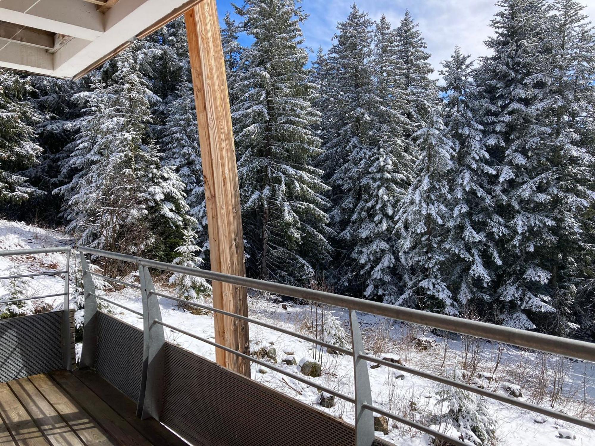 Studio Chamrousse 1700 Pour 4 Personnes - Au Calme - Avec Wifi Bagian luar foto